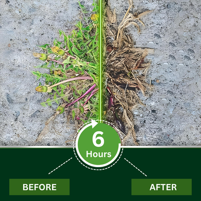 🏆 The Ultimate Lawn Saver | 2-in-1 Max Power Herbicide: Professional Root-Kill & Long-Lasting Protection ✨