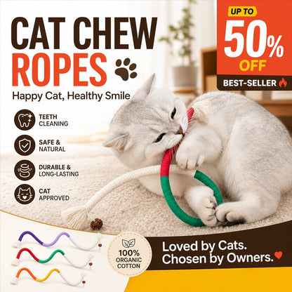 ⚡⚡⚡LAST 44 PCS LEFT!!! 🐈Natural instinct toys for