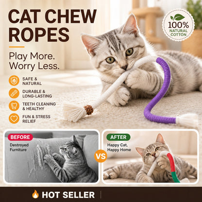⚡⚡⚡LAST 44 PCS LEFT!!! 🐈Natural instinct toys for