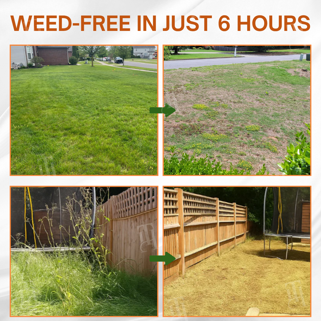 🌟 Official Store | ⏳ Watch Weeds Wither in 6 Hours! AEXZR® 2-in-1 Max Power Herbicide