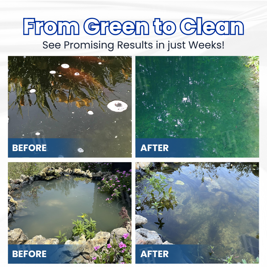 ⚡24-HOUR CRYSTAL CLEAR GUARANTEE🐠AEXZR® Aqua-Guardian Pro Formula