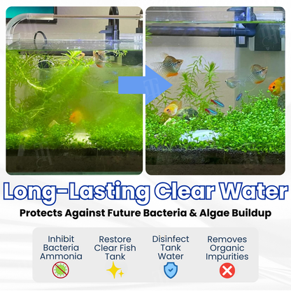 ⚡Limited Stock!!! AEXZR® Max-Power Aquarium Purification Tablet