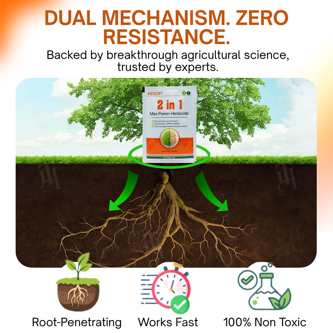 🌟 Official Store | ⏳ Watch Weeds Wither in 6 Hours! AEXZR® 2-in-1 Max Power Herbicide