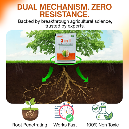 🌟 Official Store | ⏳ Watch Weeds Wither in 6 Hours! AEXZR® 2-in-1 Max Power Herbicide