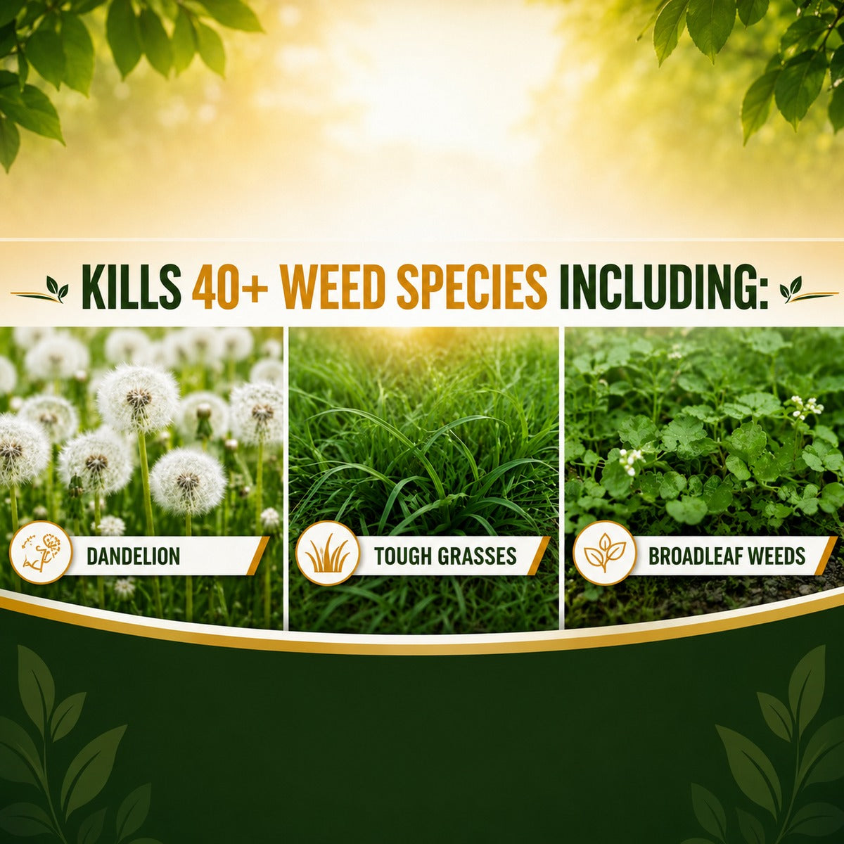 Kills 40 plus weed species