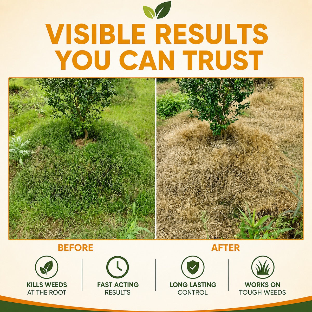 Visible results lawn before after