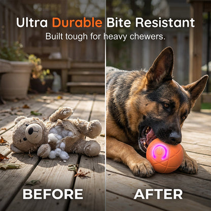 ⚡⚡⚡LAST 44 PCS LEFT!!! ✨ Auto-Bouncing Smart Pet Ball
