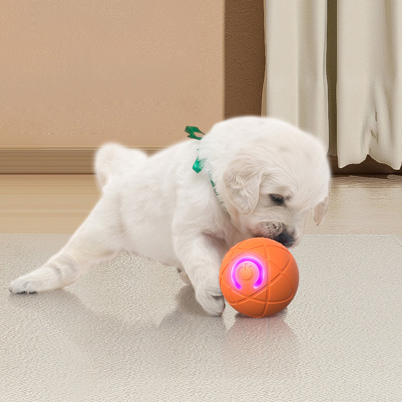 ⚡⚡⚡LAST 44 PCS LEFT!!! ✨ Auto-Bouncing Smart Pet Ball
