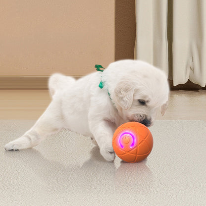 ⚡⚡⚡LAST 44 PCS LEFT!!! ✨ Auto-Bouncing Smart Pet Ball