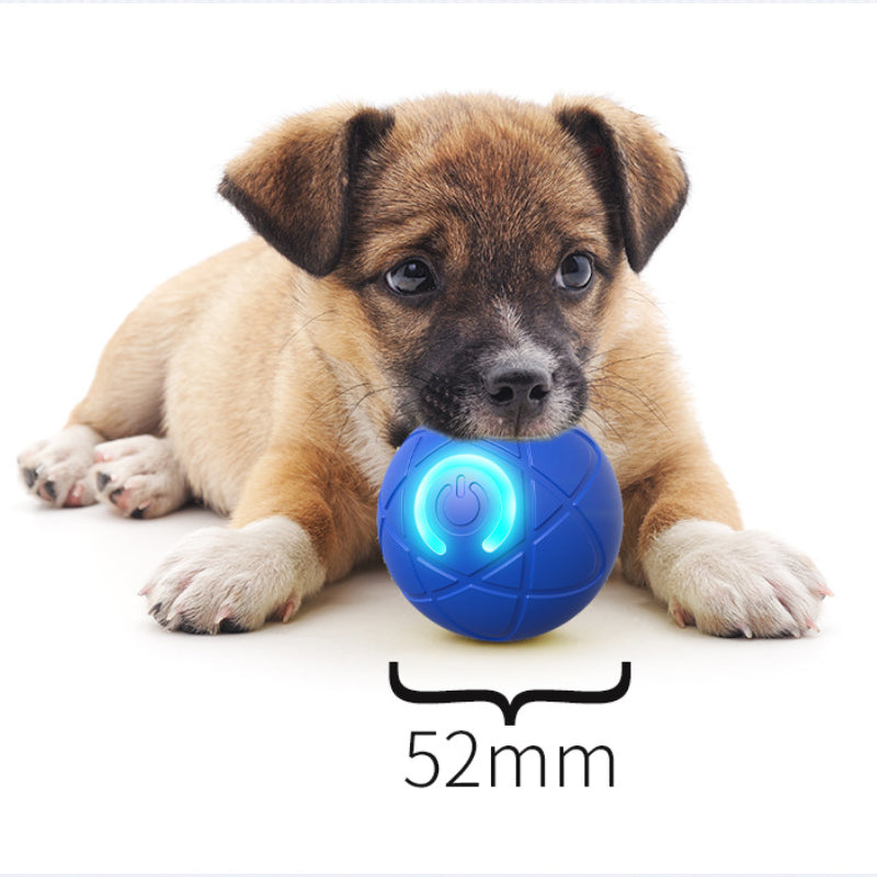 ✨ Auto-Bouncing Smart Pet Ball | Chew-Resistant, Motion-Activated & Relieves Separation Anxiety 🐾