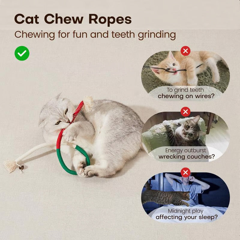 ⚡⚡⚡LAST 44 PCS LEFT!!! 🐈Natural instinct toys for